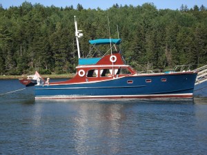 Dad's pride and joy - Bluefin