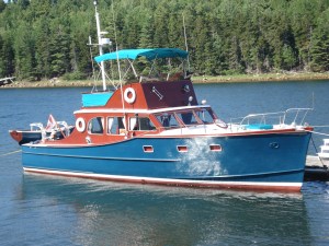 Dad's pride and joy - Bluefin