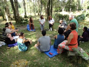 the circle in the woods