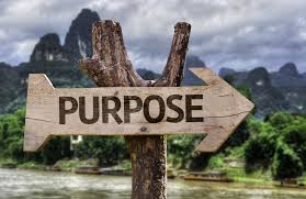 Purpose image